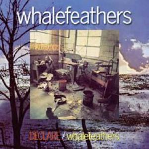 whalefeathers: declare / whalefeathers