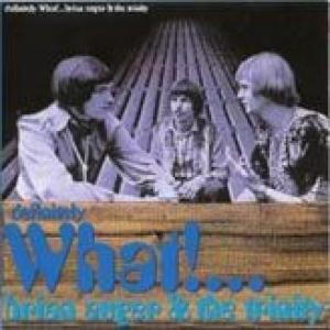 brian auger & the trinity: definitely what!...