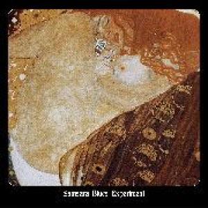 samsara blues experiment: demos