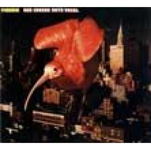 pinguin: der grosse rote vogel