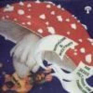 witthuser & westrupp: der jesuspilz - musik vom evangelium