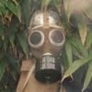 haystacks balboa: detoxified