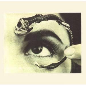 mr. bungle: disco volante