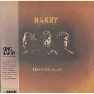king harry: divided we stand