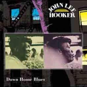 john lee hooker: down home blues