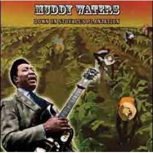 muddy waters: down on stovall's plantation + bonus tracks