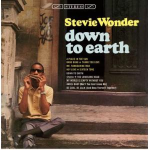 stevie wonder: down to earth