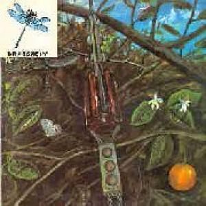 dragonfly: dragonfly