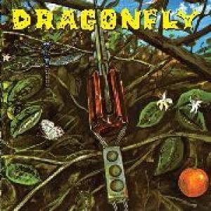 dragonfly: dragonfly
