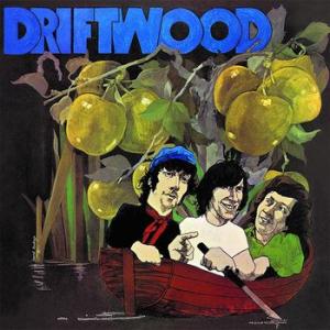 driftwood: driftwood