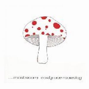 mushroom: early one morning (+7