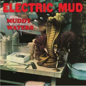 muddy waters: electric mud