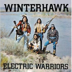 winterhawk: electric warriors