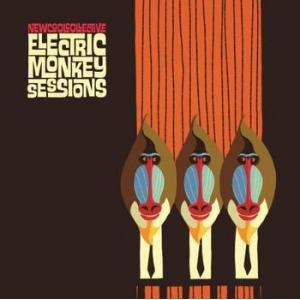 new cool collective: electric monkey sessions