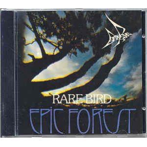 rare bird: epic forest