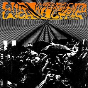 various: everywhere interferences