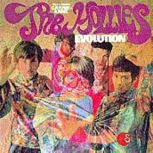 hollies: evolution