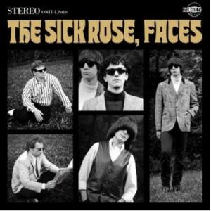 the sick rose: faces
