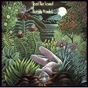 harvey mandel: feel the sound of harvey