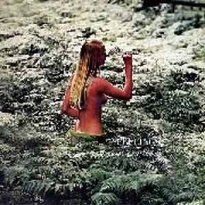 stefano torossi: feelings