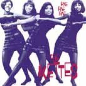 the ikettes: fine, fine, fine