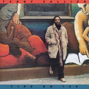 terry callier: fire on ice