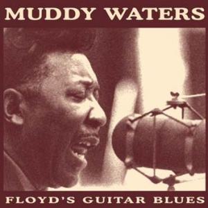 muddy waters: floyd's guitar blues