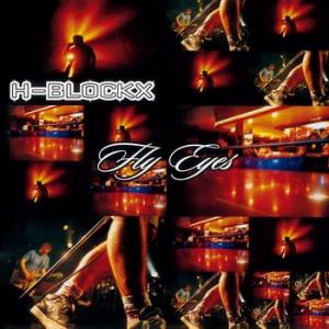 h-blockx: fly eyes