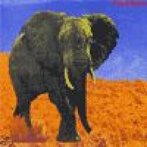 food brain: food brain