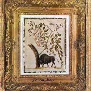 soft shoe: for those alone