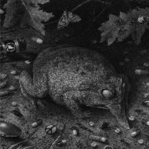 tusmorke: fort bak lyset