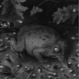 tusmorke: fort bak lyset (purple)