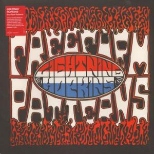 lightnin' hopkins: free from patterns