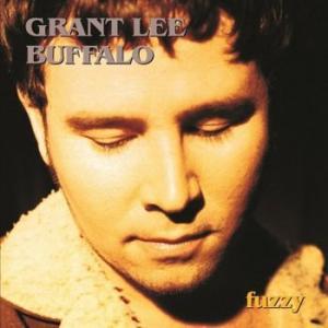 grant lee buffalo: fuzzy