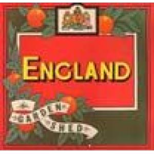 england: garden shed