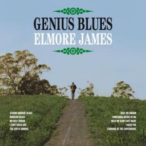 elmore james: genius blues