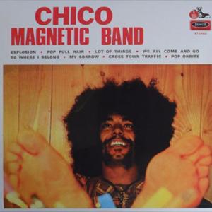 chico magnetic band: chico magnetic band