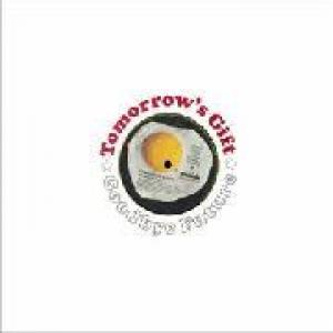 tomorrow's gift: goodbye future