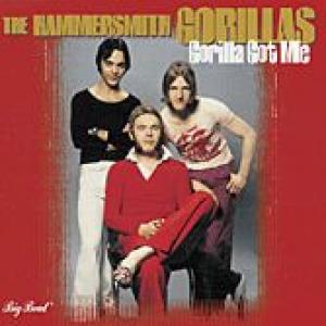 hammersmith gorillas: gorilla got me