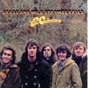 collectors: grass & wild strawberries