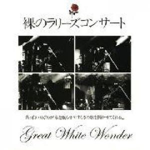 les rallizes denudes: great white wonder