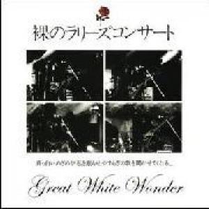 les rallizes denudes: great white wonder