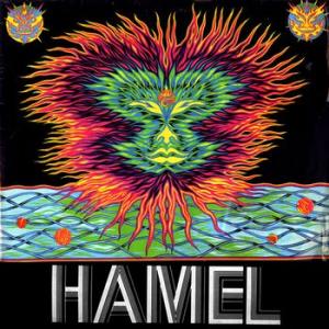 peter michael hamel: hamel