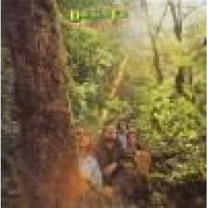 douglas fir: hard heartsingin'