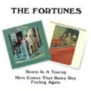 fortunes: here comes that rainy day…/storm in a teacup