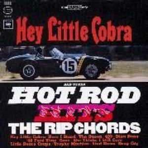 rip chords: hey little cobra