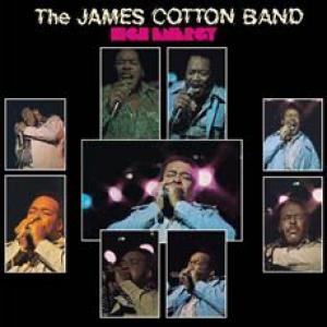 james cotton: high energy