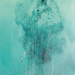 horte: horte (black + cd)