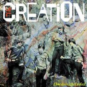 the creation: how does it feel to feel