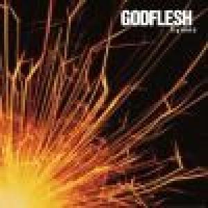 godflesh: hymns (coloured)